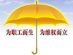 有清晰伞的素材
