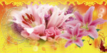 鲜花