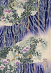 花布