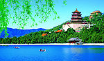 杨柳 颐和园