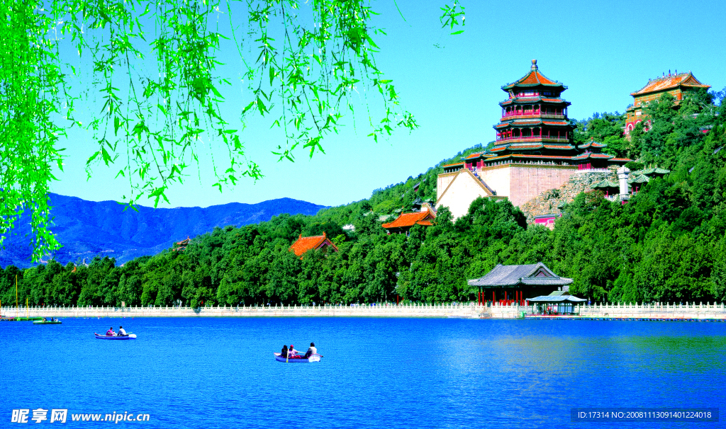 杨柳 颐和园