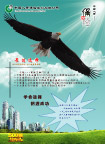 中国人寿彩页
