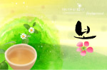 春天 花 红梅