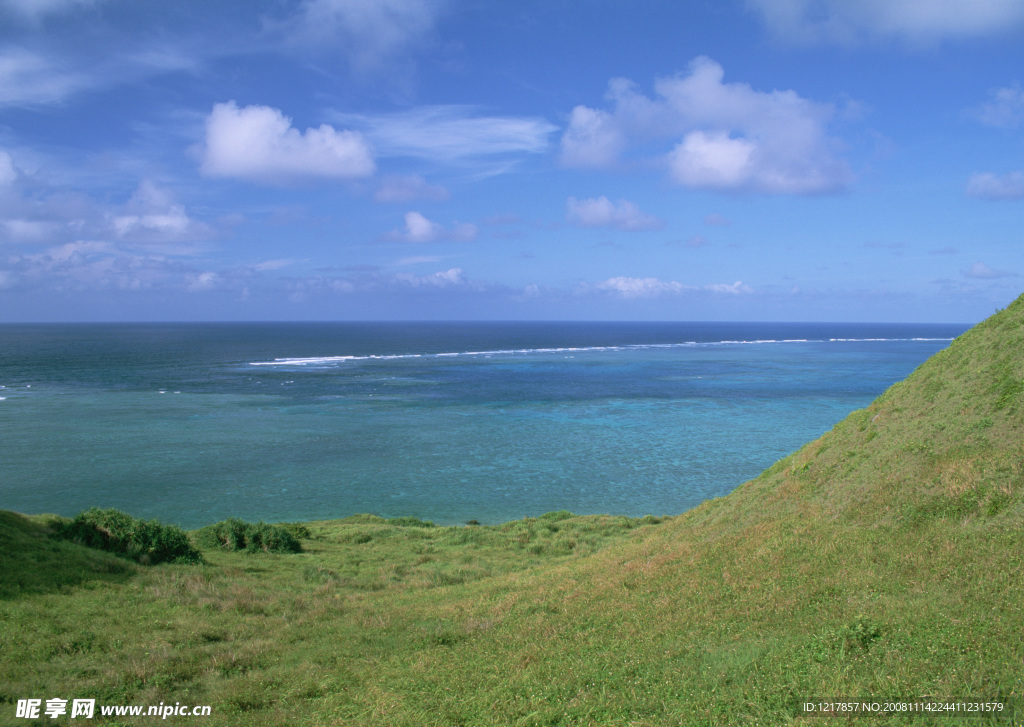 草原大海