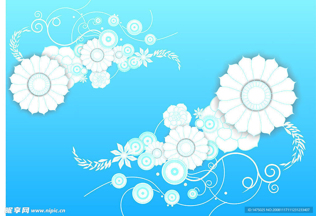 美丽花纹
