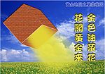 黄金地段之莫奈花园
