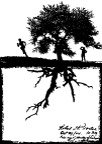 人与大树