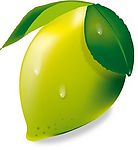 柠檬
