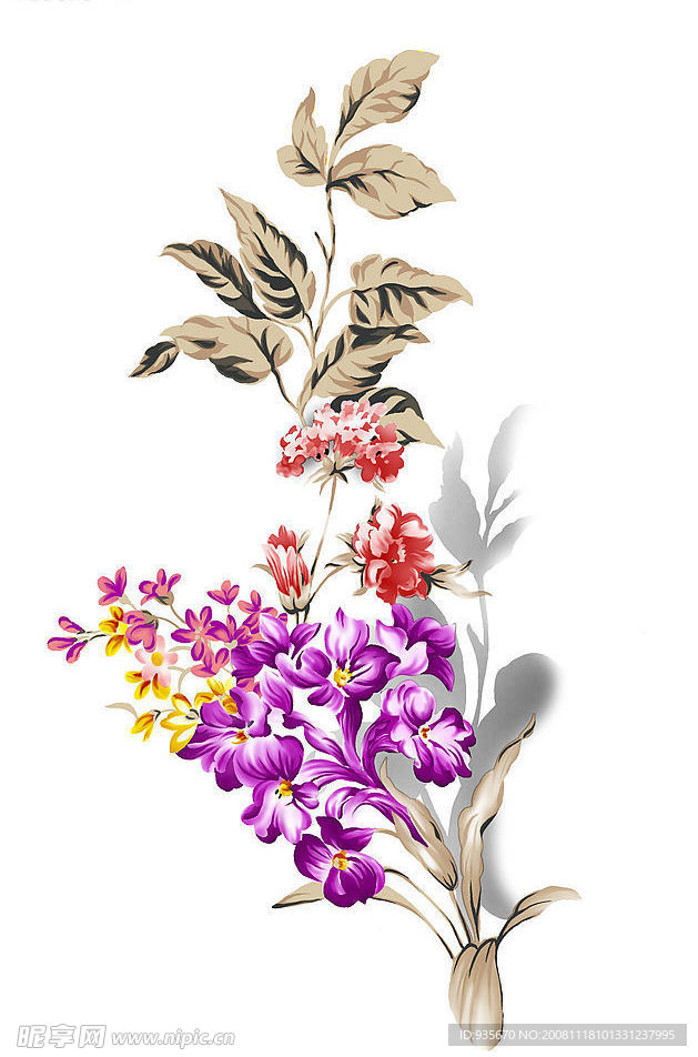 花枝
