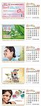 台历正面2-6月