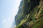 天台山的梯田