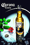 corona啤酒