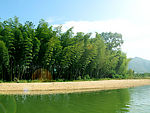 风景