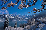 冰湖雪山