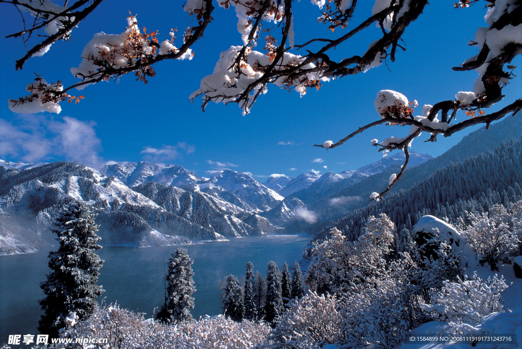 冰湖雪山