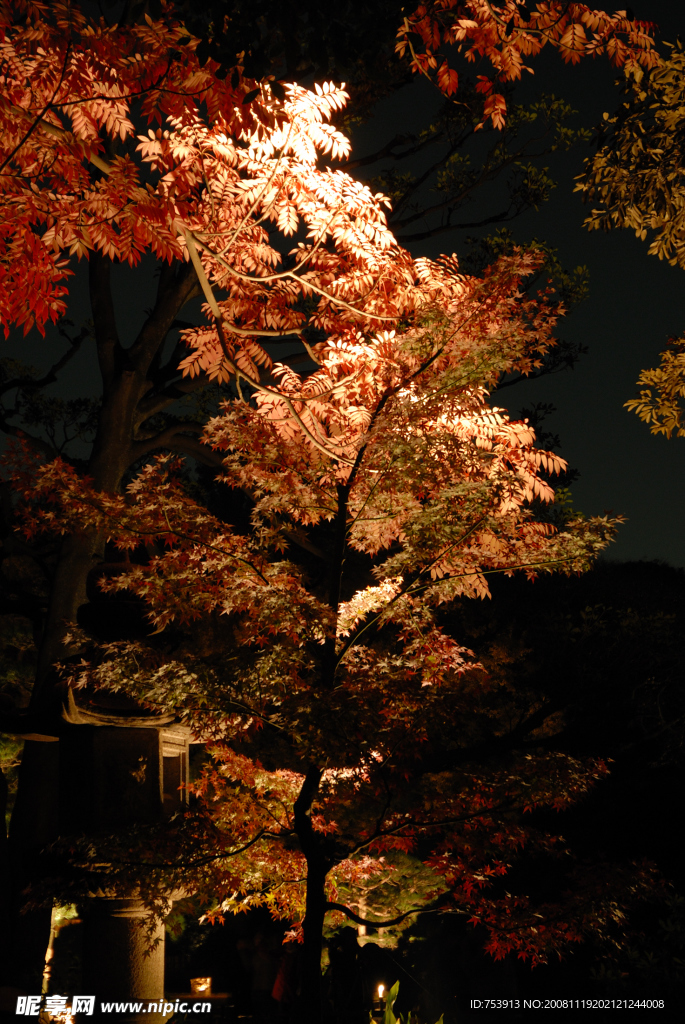 禅境·秋夜