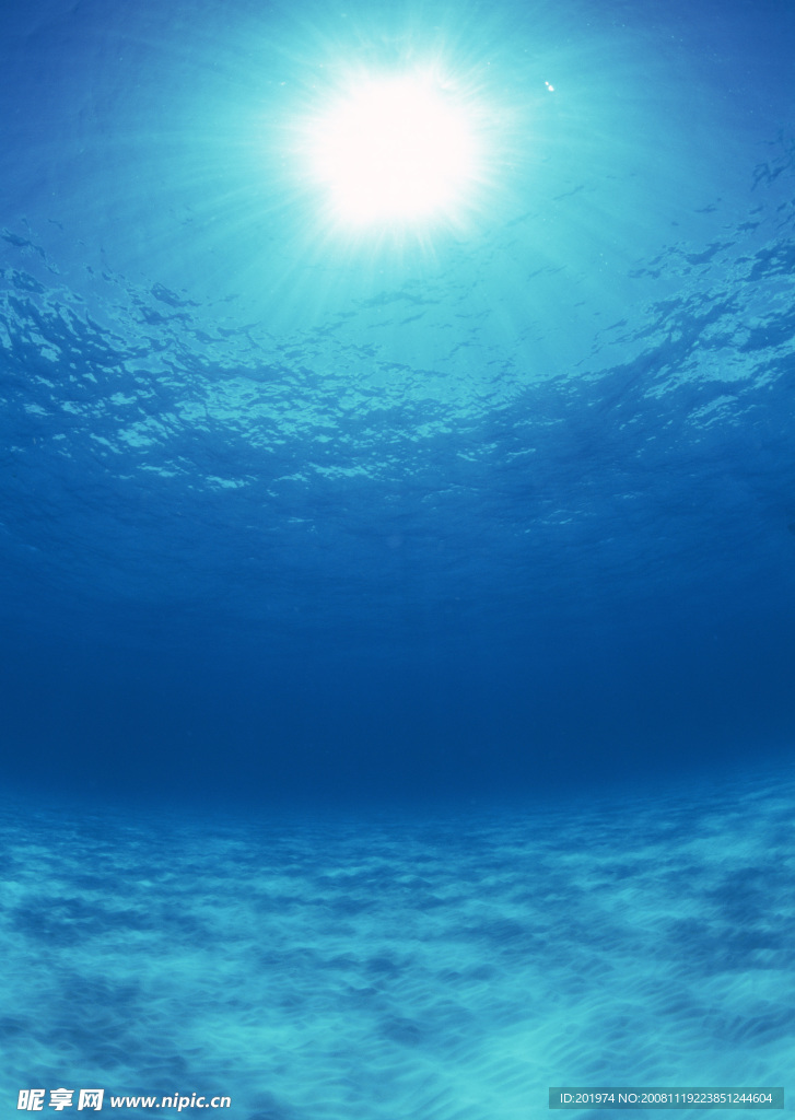 海底