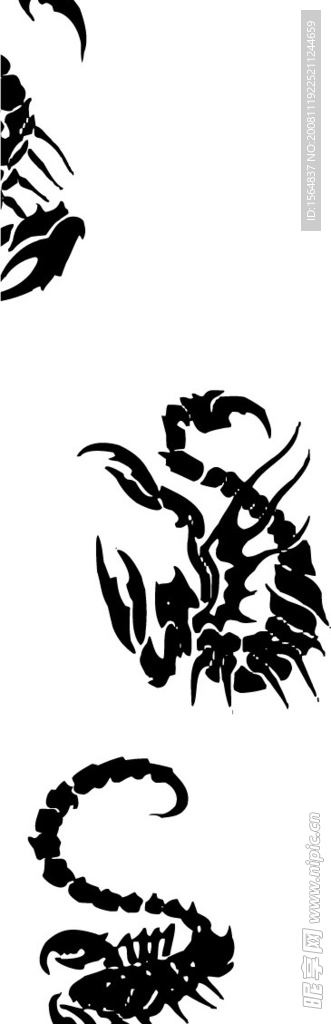 蝎子