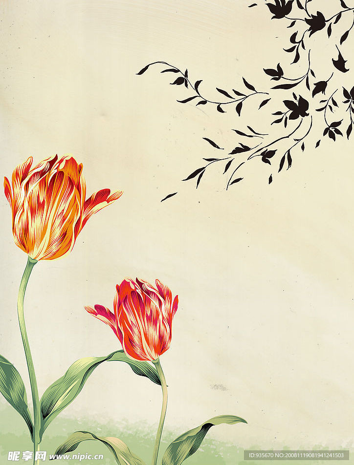 花枝