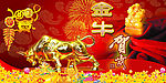 金牛贺岁