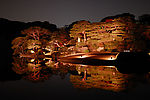 禅境 秋夜2