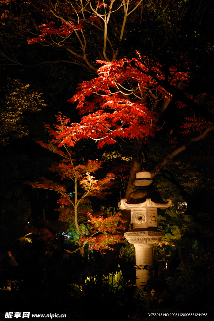 禅境·秋夜
