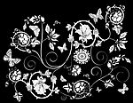 黑白蝴蝶花纹