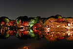 禅境·秋夜