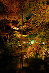 禅境·秋夜