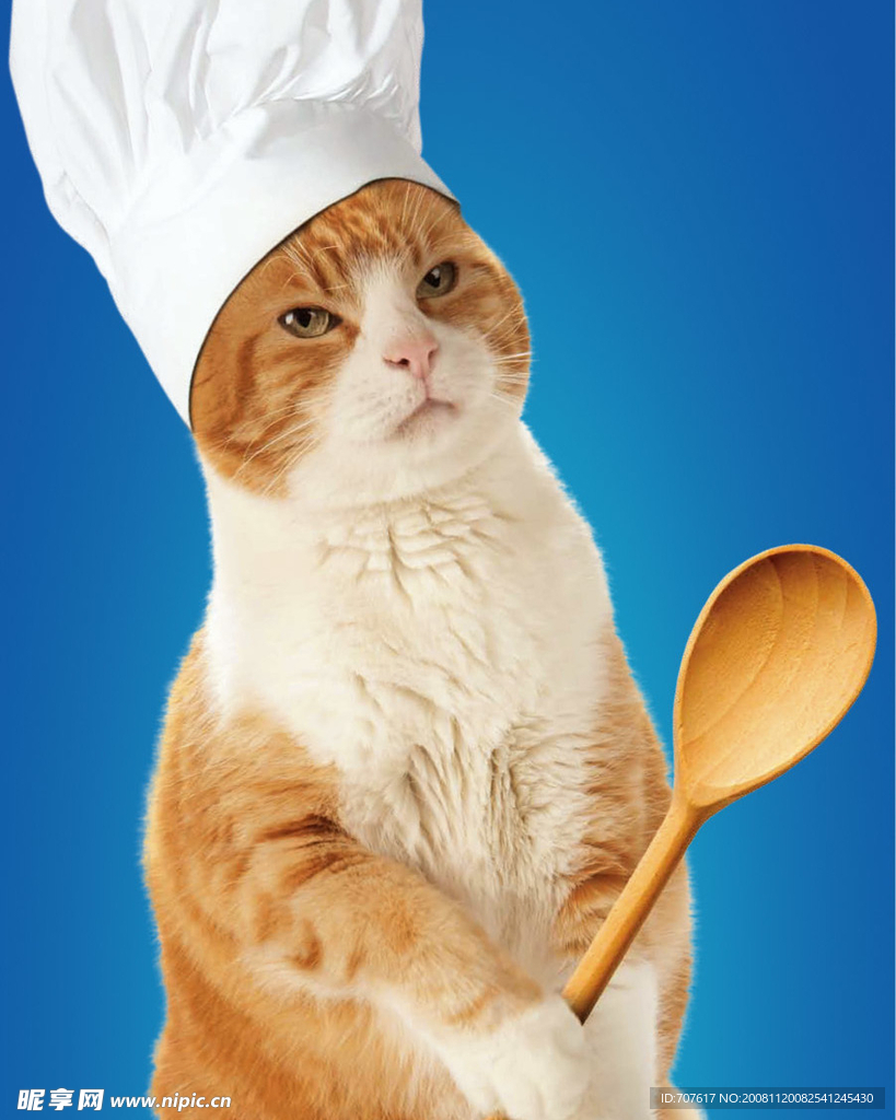 猫厨师