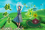 铁观音茶叶广告