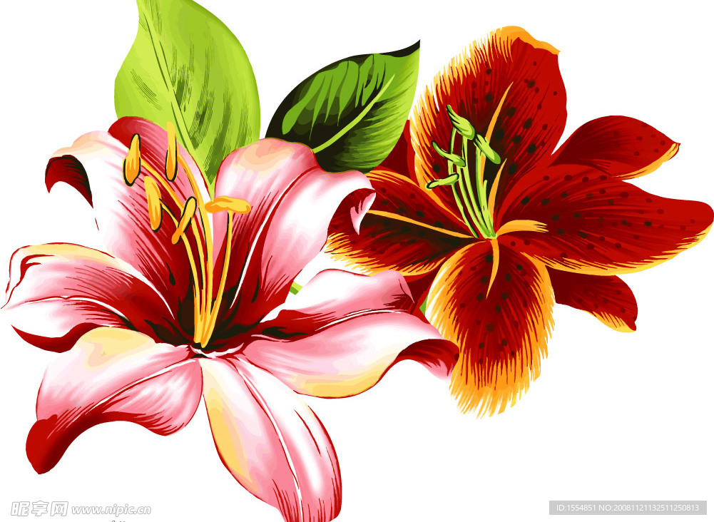 鲜花