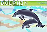 海豚海洋馆宣传卡