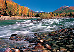 青山绿水