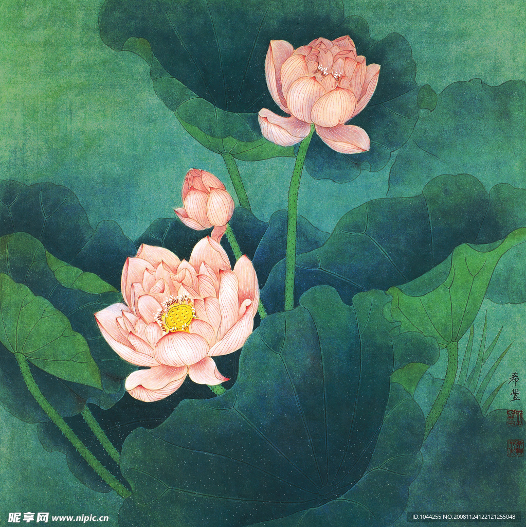 荷塘清韵