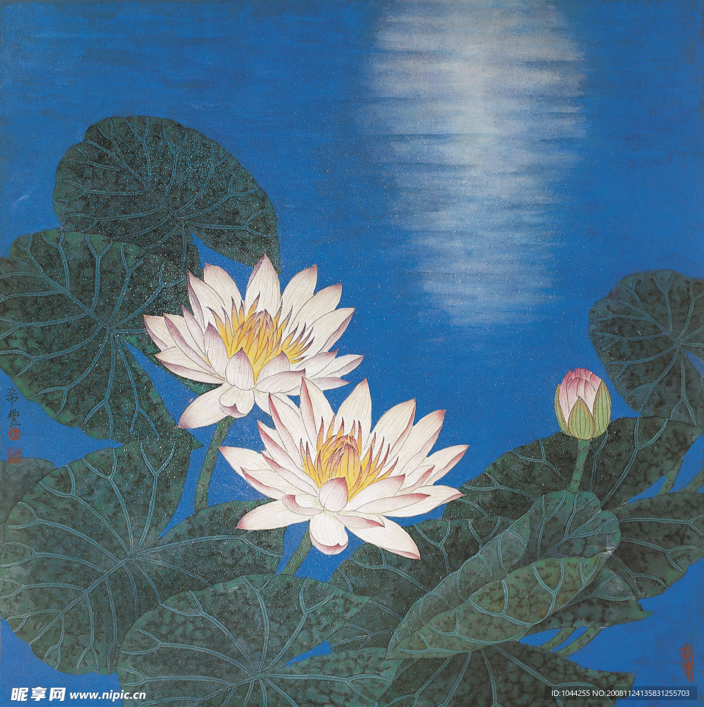 月下莲