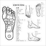 足部反射区病理按摩位