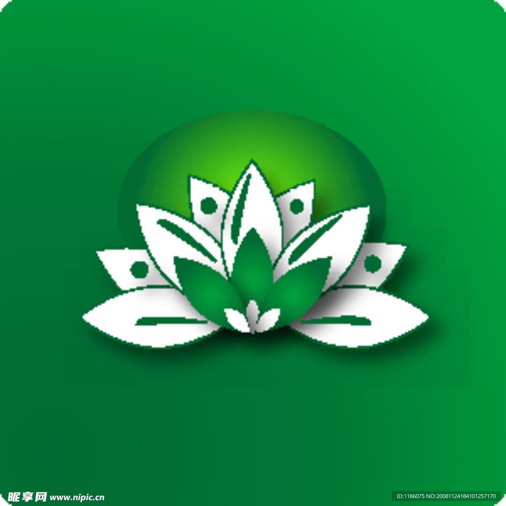莲花