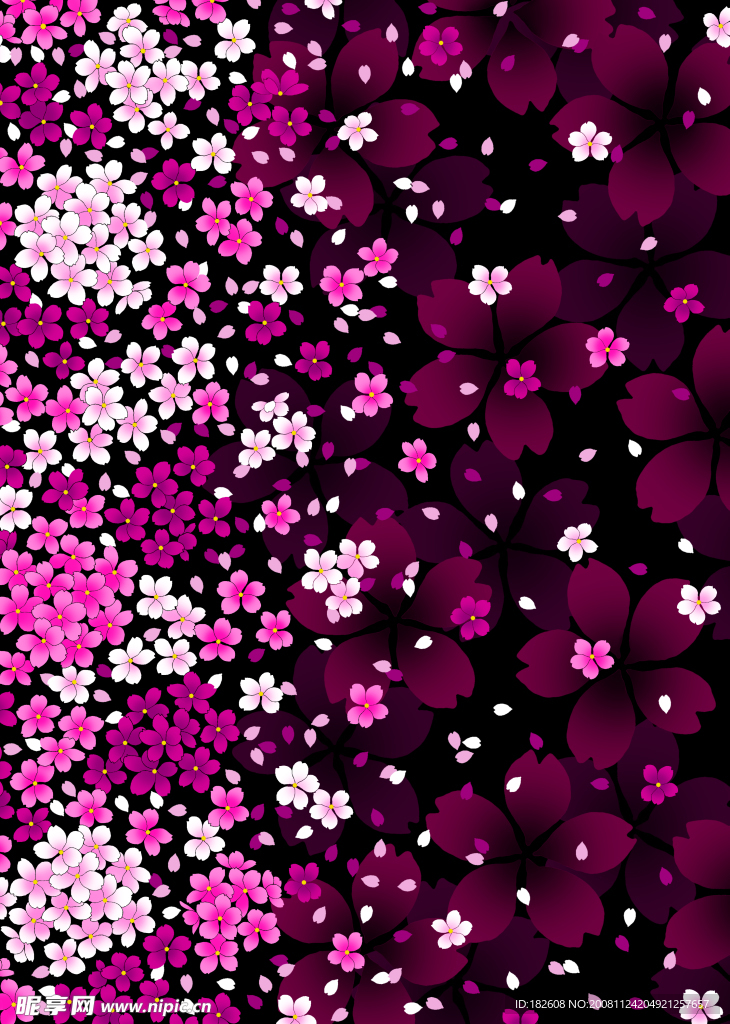 紫色樱花