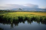 山水剪影