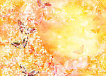 花纹