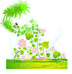 花纹