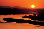 夕阳下