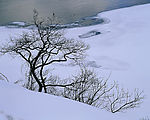 高清雪景图片
