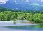 山水