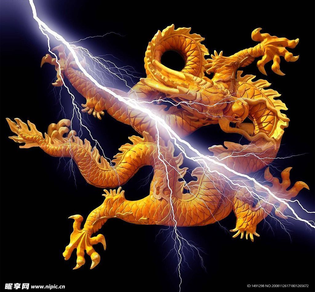 龙