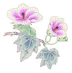 花卉01