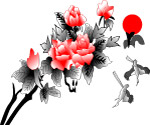 玫瑰