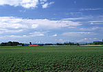 陆地旷野