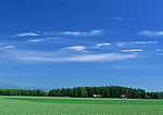 陆地旷野